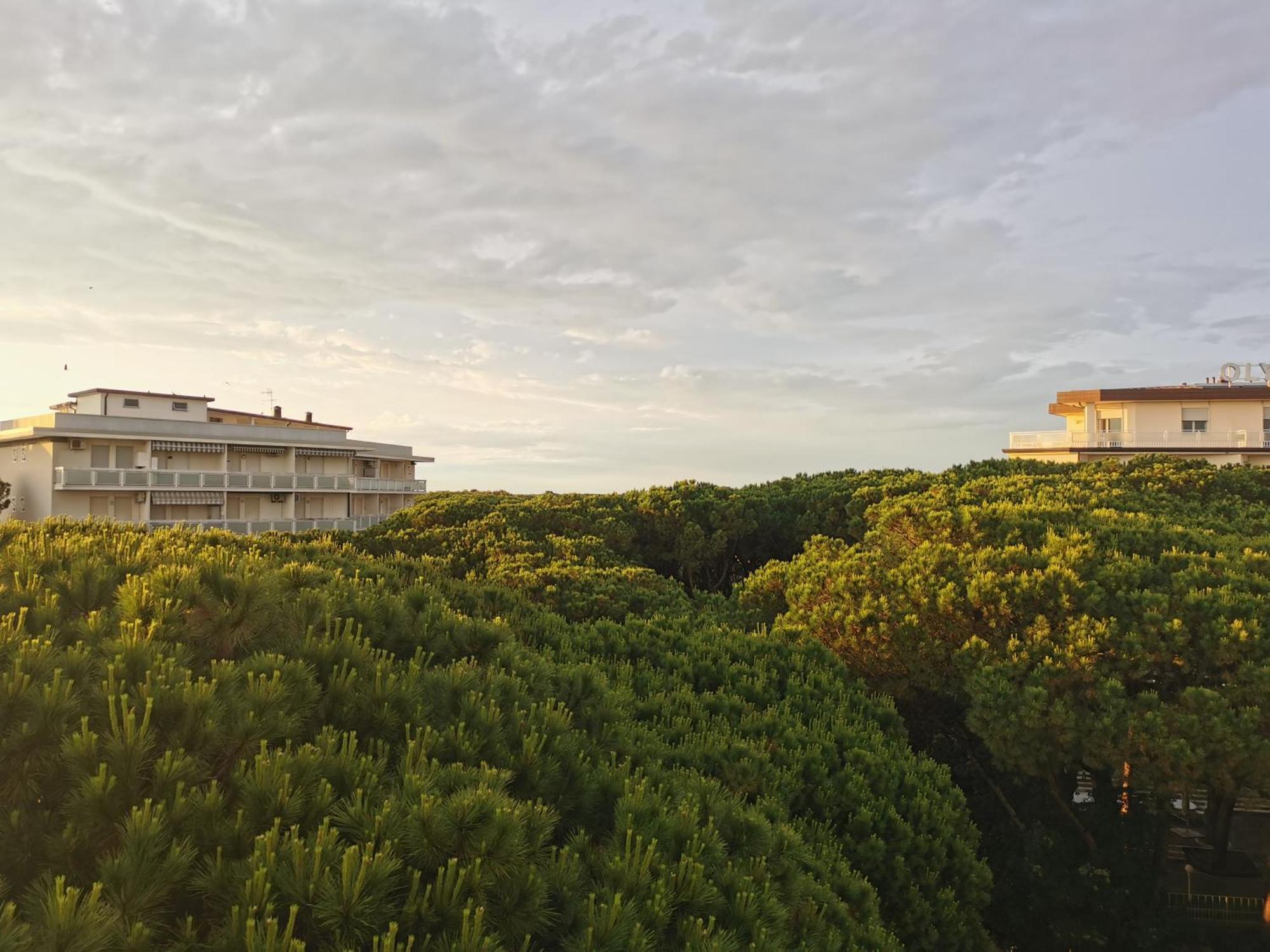 Hotel Pine Beach روسولينا ماري المظهر الخارجي الصورة